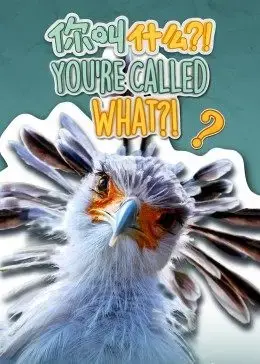 《你叫什么?(英)》：跨文化碰撞下的爱情，青春与命运的交织