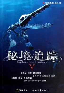 秘境追踪Ⅴ：深渊迷雾下的致命探险，真相何在？