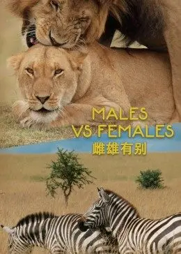 《雌雄有别》：性别迷思与身份探索的法国经典喜剧