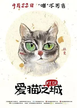 《爱猫之城》：伊斯坦布尔的猫咪奇缘，一部治愈系纪录片