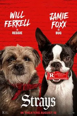 《流浪狗》：催泪寻家之旅，狗狗视角的孤独与爱，年度必看治愈电影